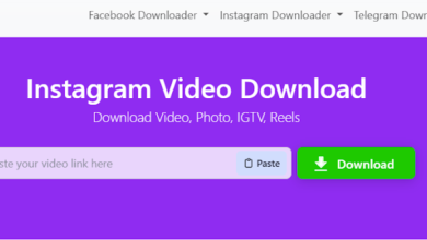 IG Downloader: Download Instagram Videso, Photos, IGTV, and Reels Online