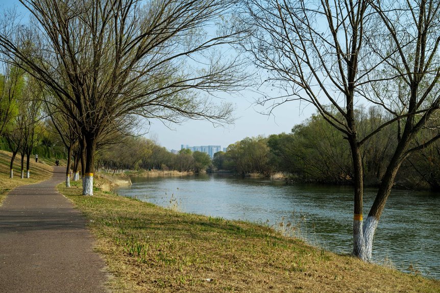 growth dynamics analysis framework